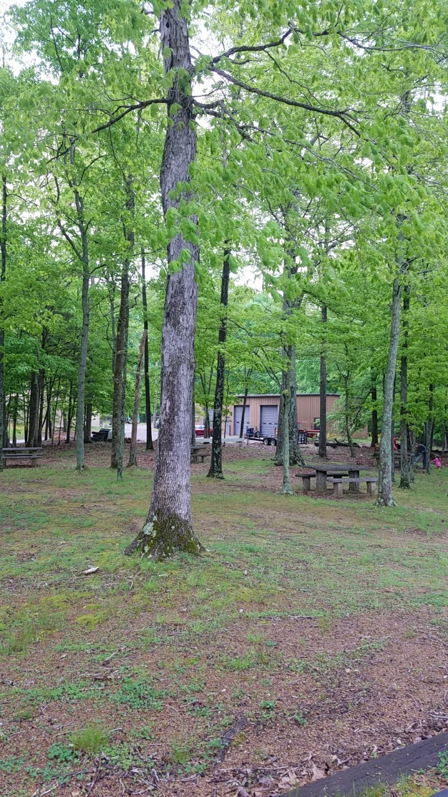 Military Park Eagle's Rest Army Travel Camp Fort Campbell