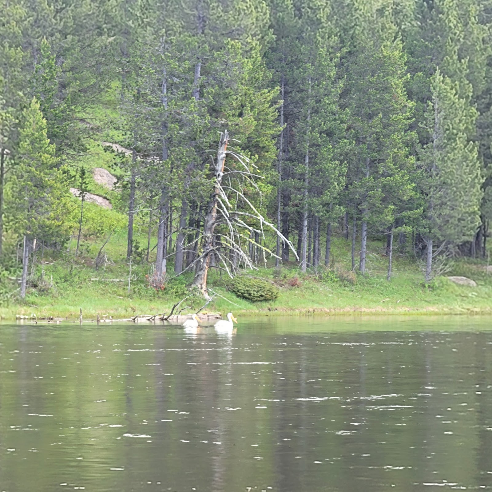 Upper Coffee Pot Campground