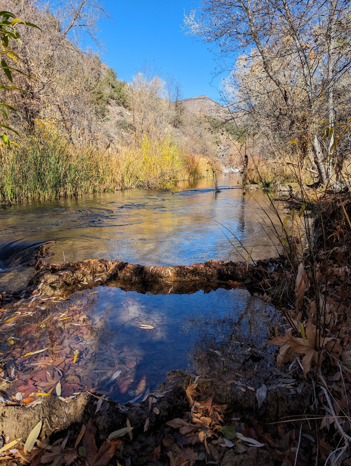 Fossil Creek Wild and Scenic River Recreation Area