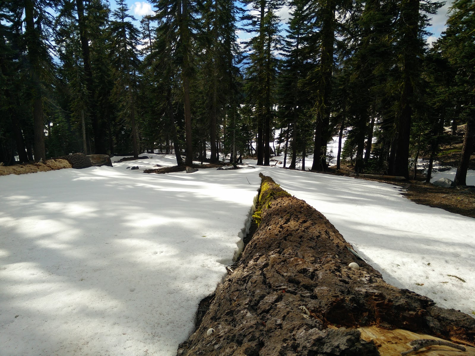 Panther Meadows Walk-In Campground