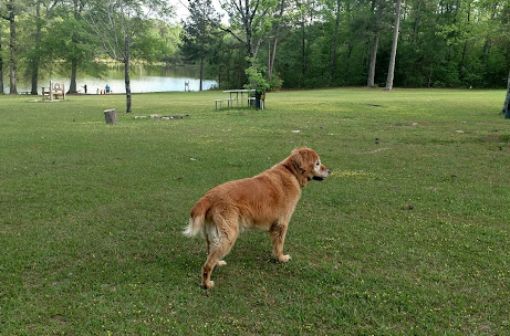 Peach Queen Campground