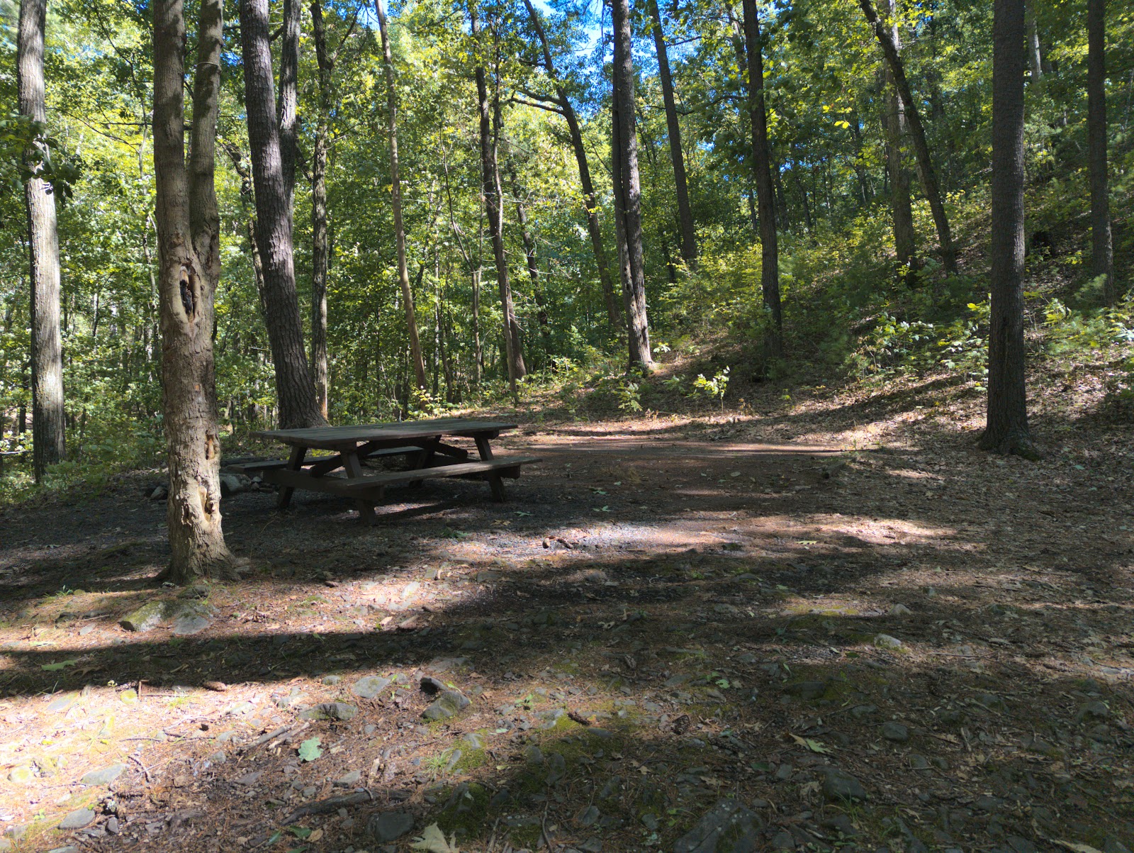 Camp Run Campground