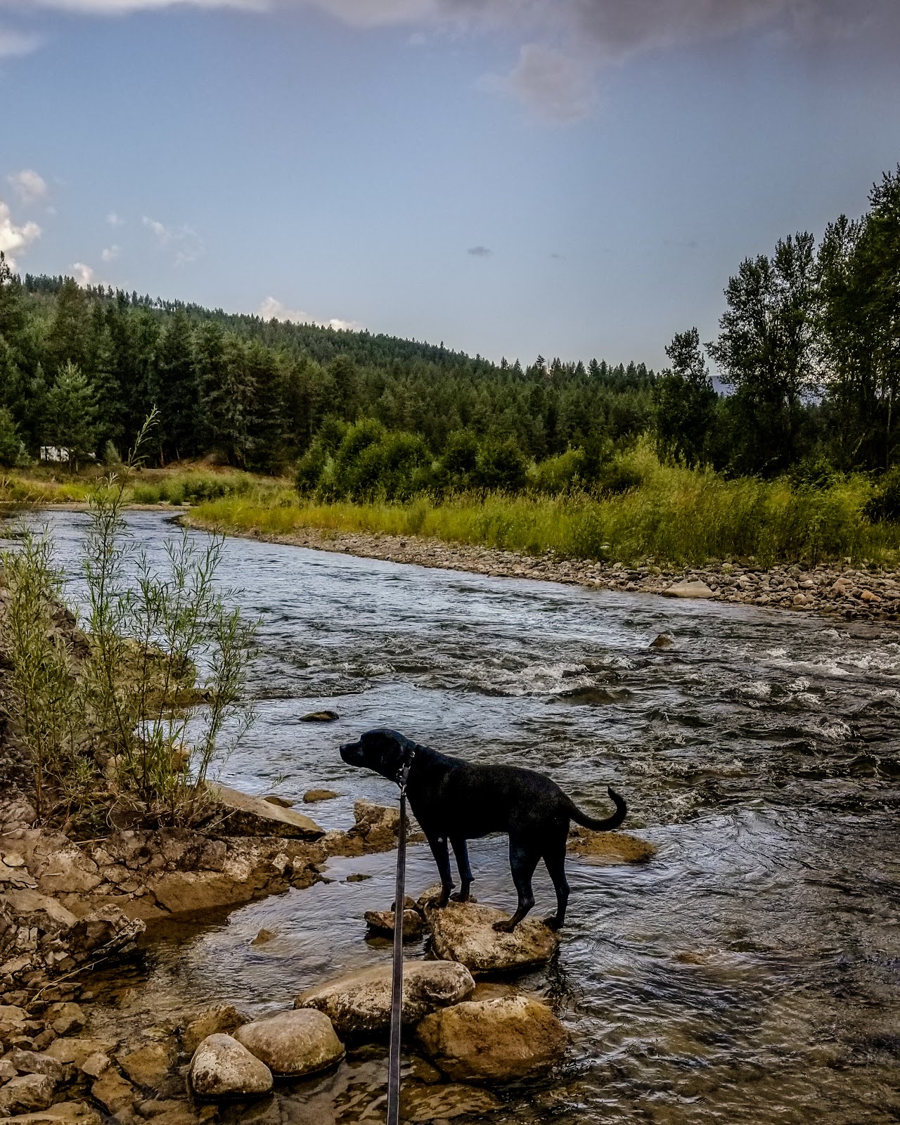 Tobacco River Campground