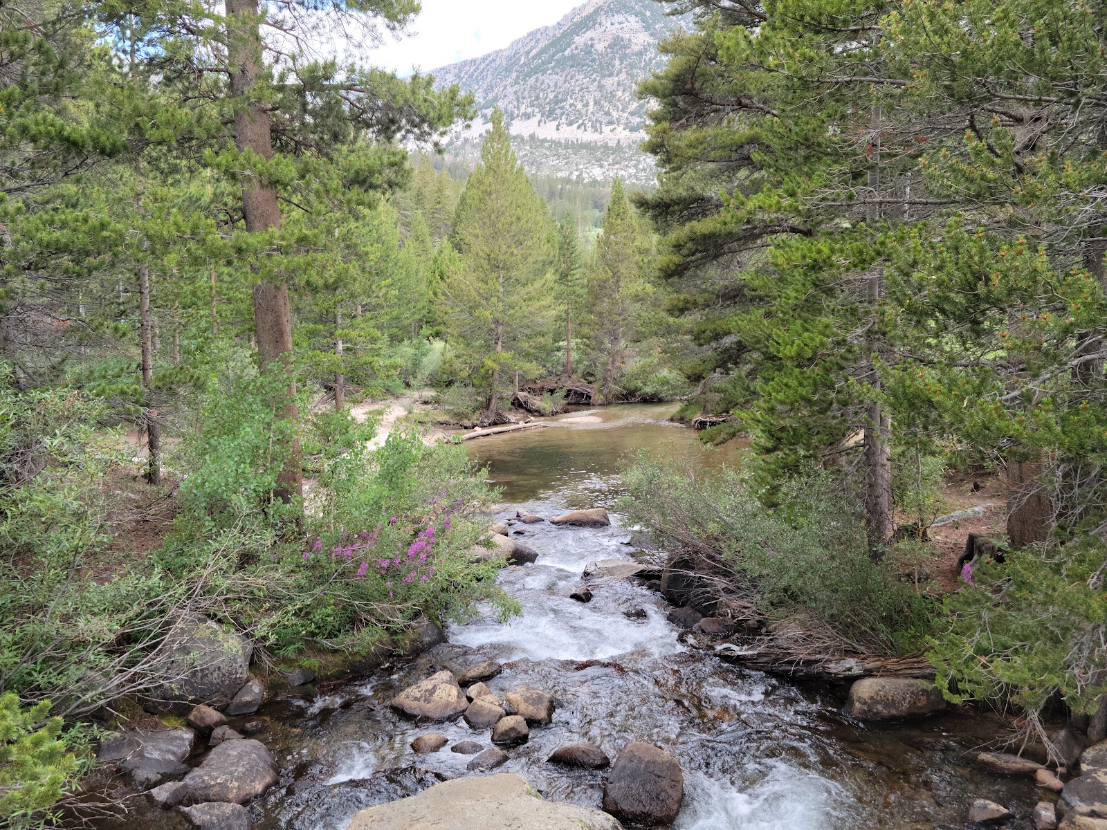 Rock Creek Lake Campground