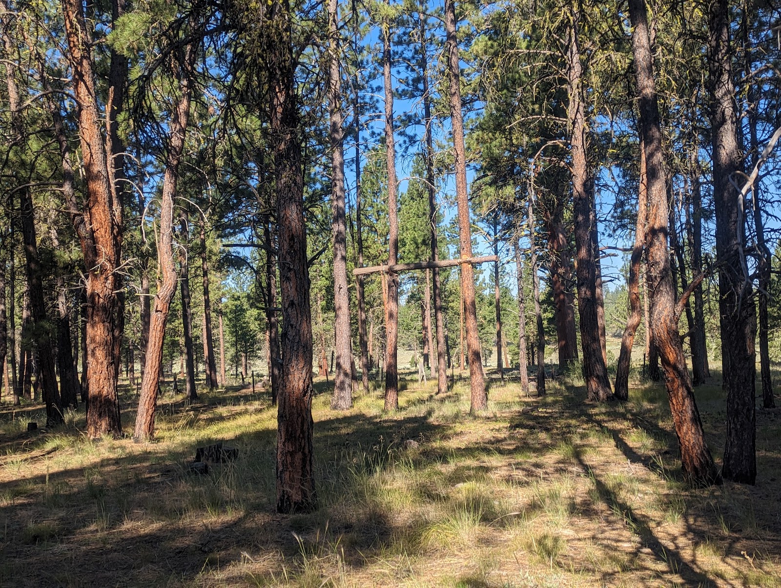 Joaquin Miller Horse Campground