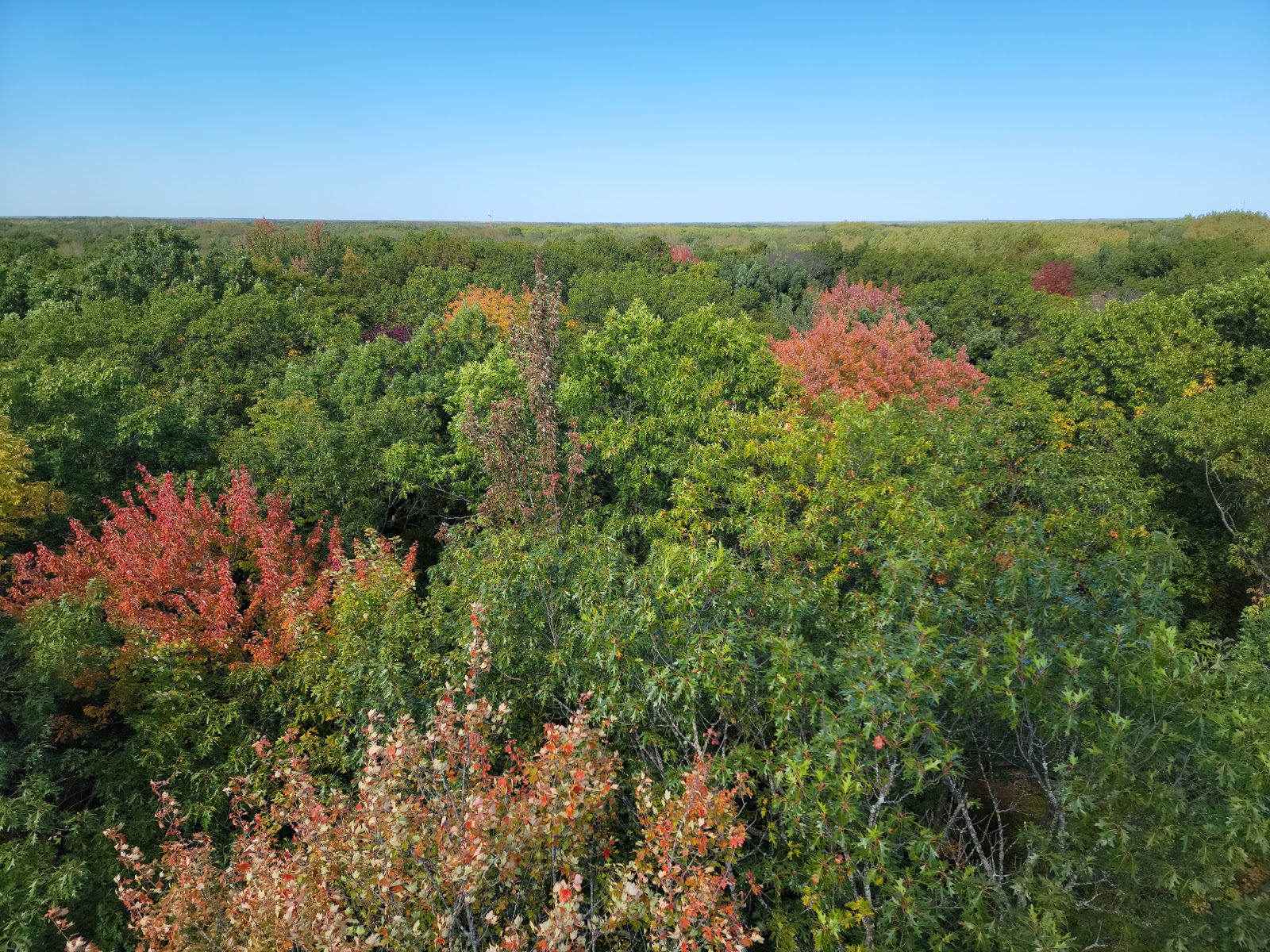 Main Campgrounds - Saint Croix State Park