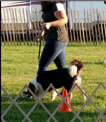 Branch County Fairgrounds RV