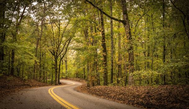 Tombigbee Lake State Park