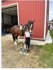 Summit's Valley Shire and Sport Horses, LLC