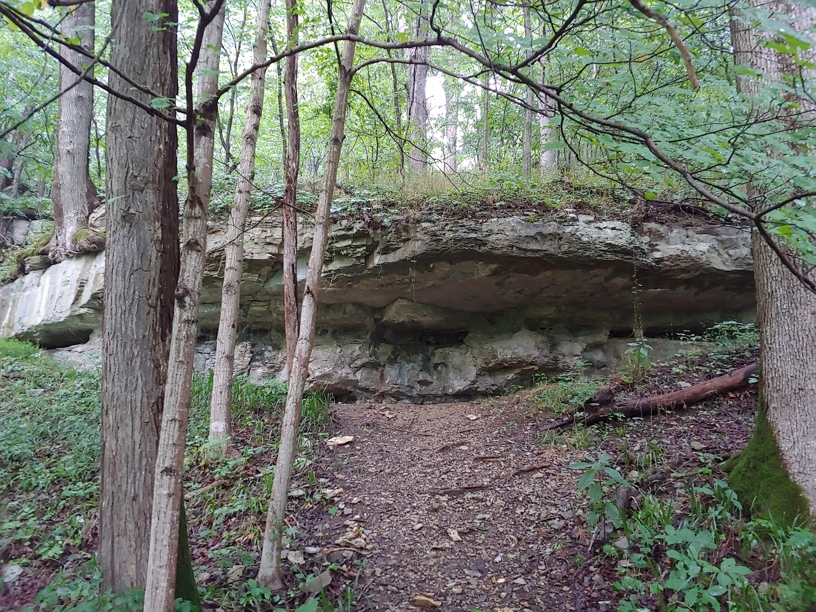 O’Bannon Woods State Park