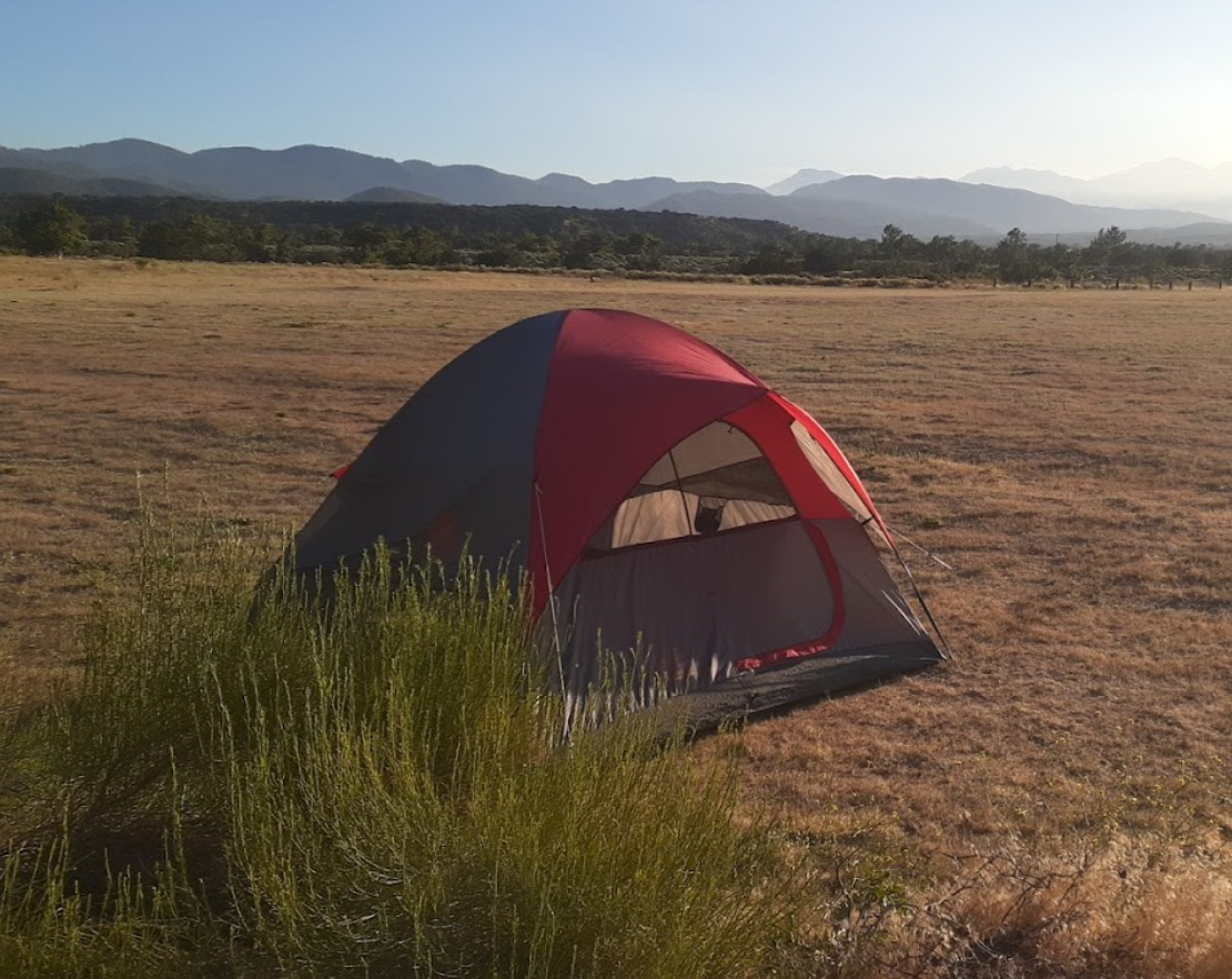 Mojave River Forks Regional Park