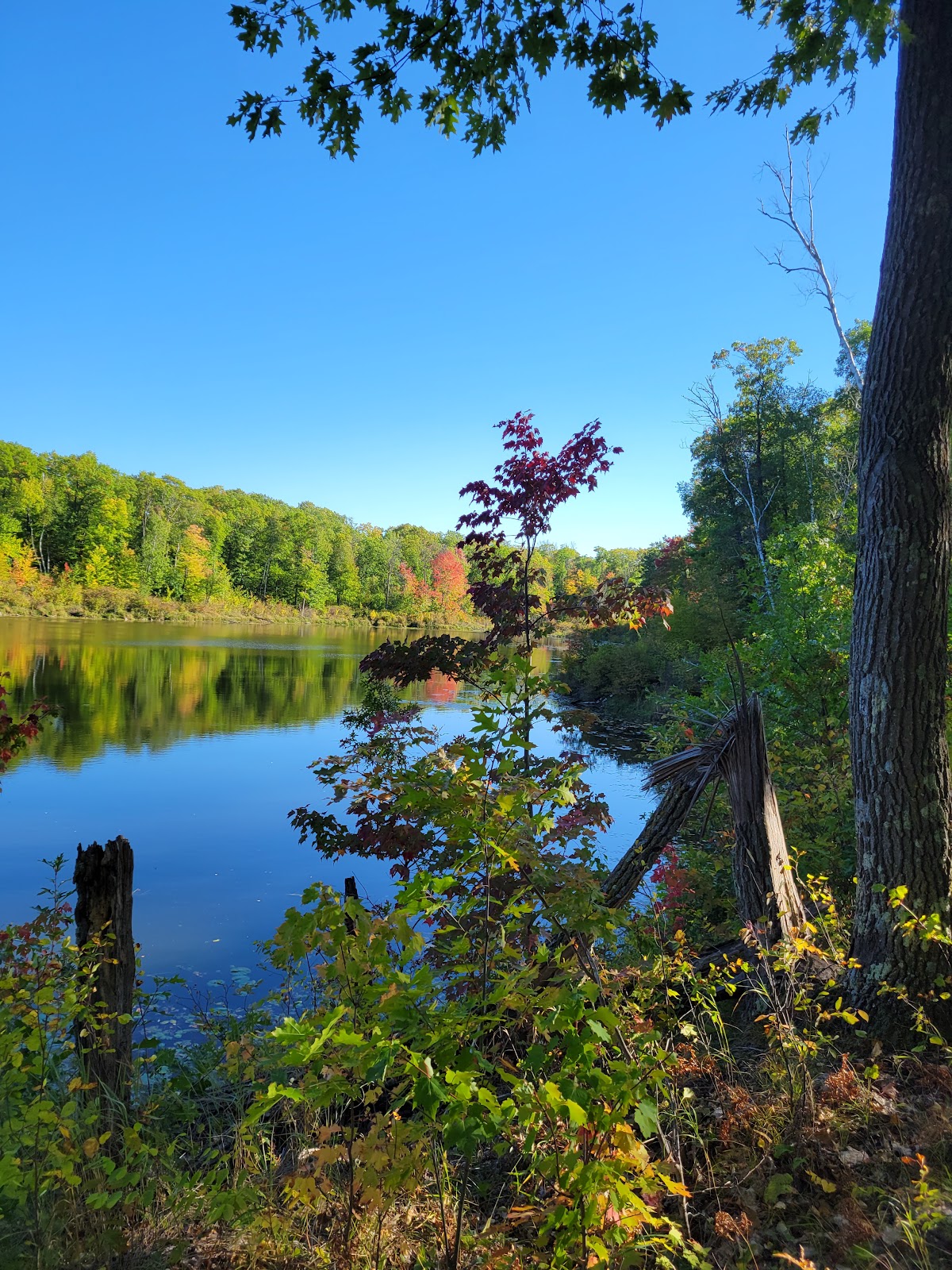 Walter E. Stark Assembly Area
