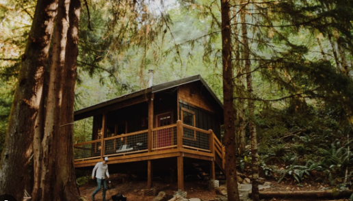 Camping by the Creek in Woods