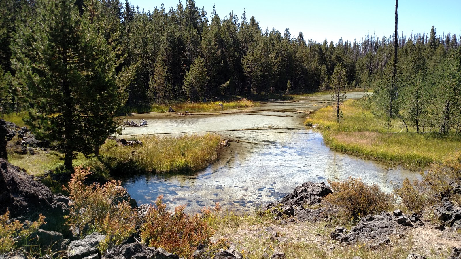 Quinn Meadow Horse Camp Campground