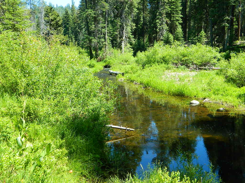 Gurnsey Family and Group Campground