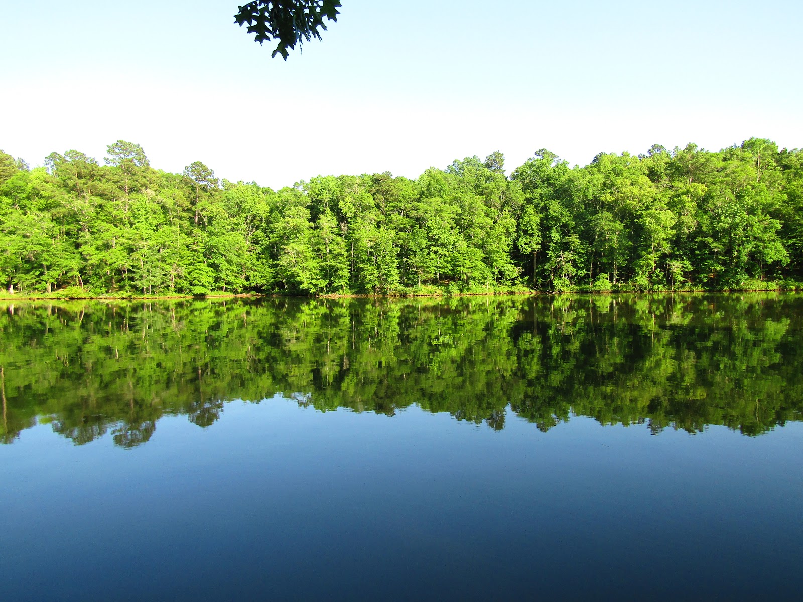 Lake Sinclair NF Campground