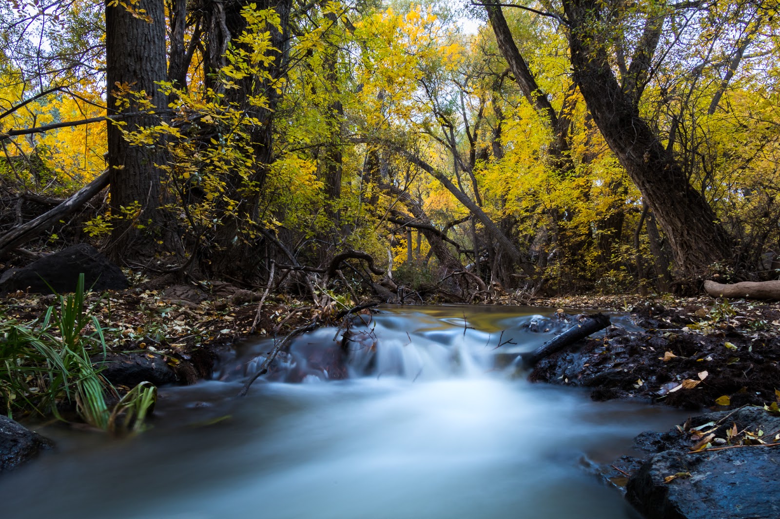 Baker Dam Reservoir Campground