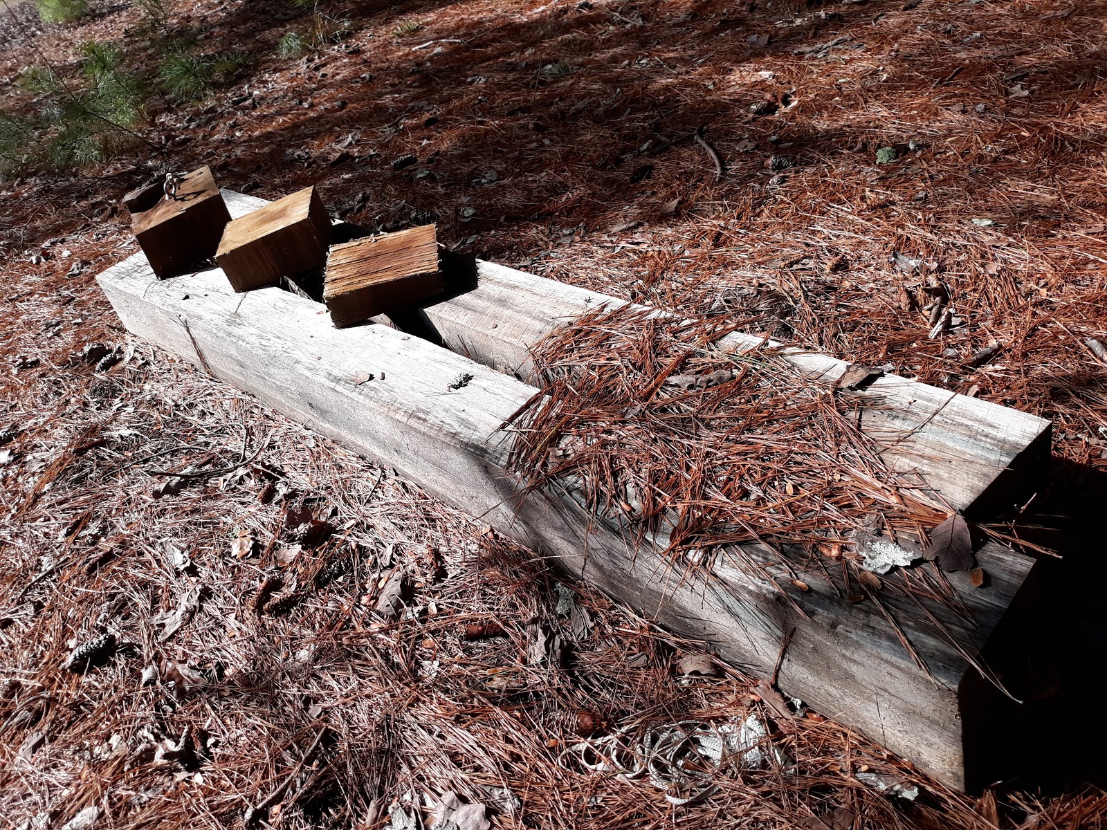 John W. Starr Memorial Forest WMA