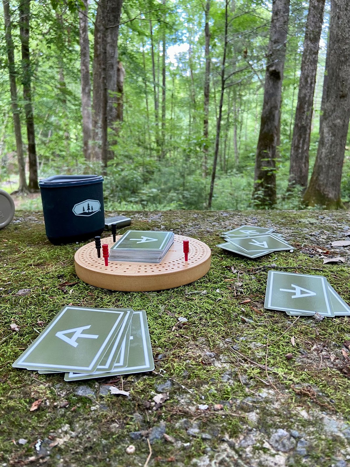 Dam Creek Walk-In Campground