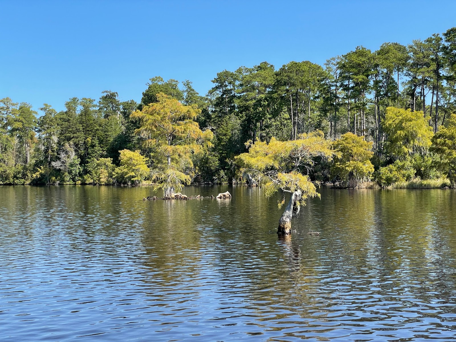Singletary Lake State Park
