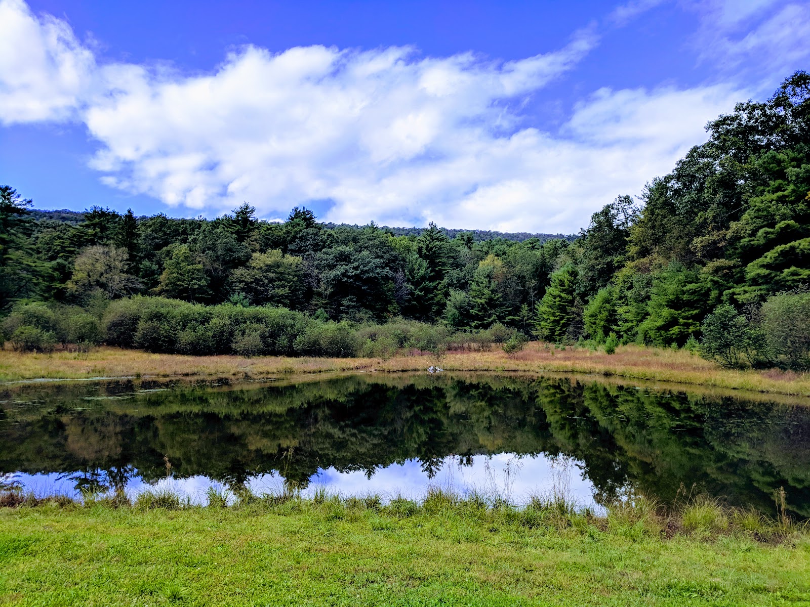 Penn-Roosevelt State Park