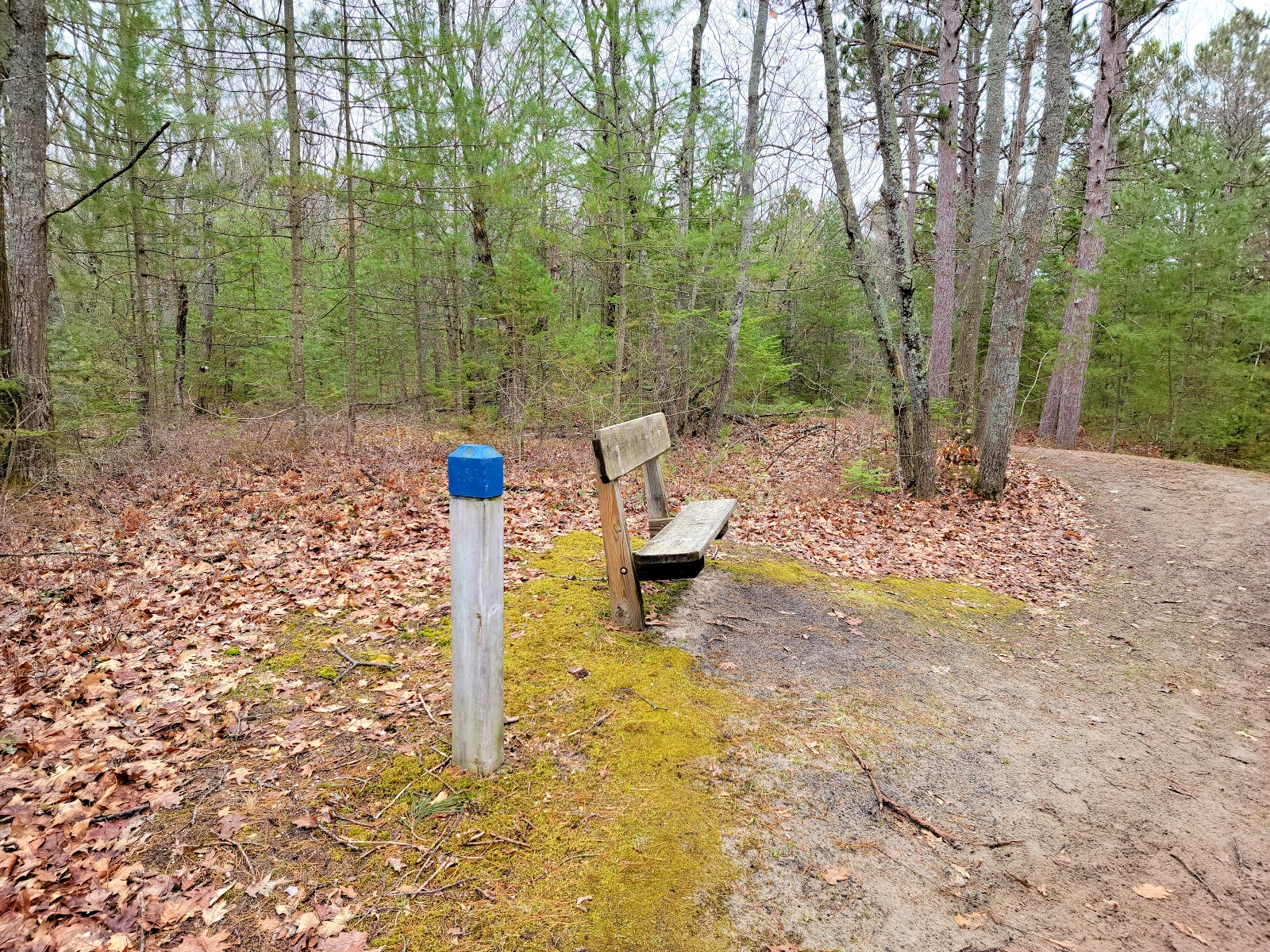 Cheboygan State Park