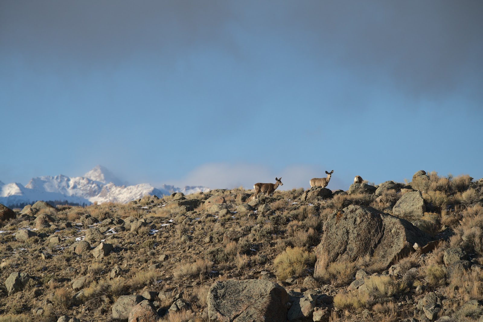 Boulder Lake Campground