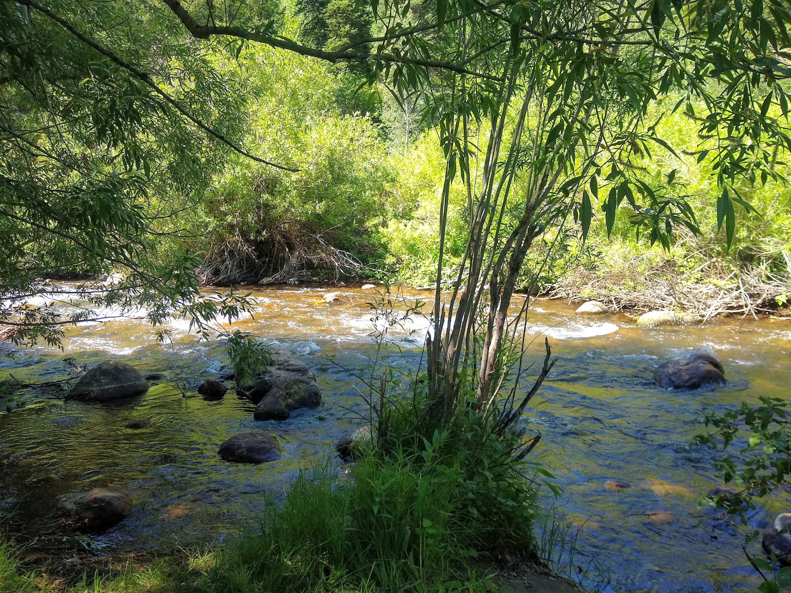 Red Banks Campground