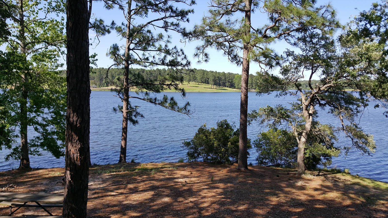 Hodges Gardens State Park