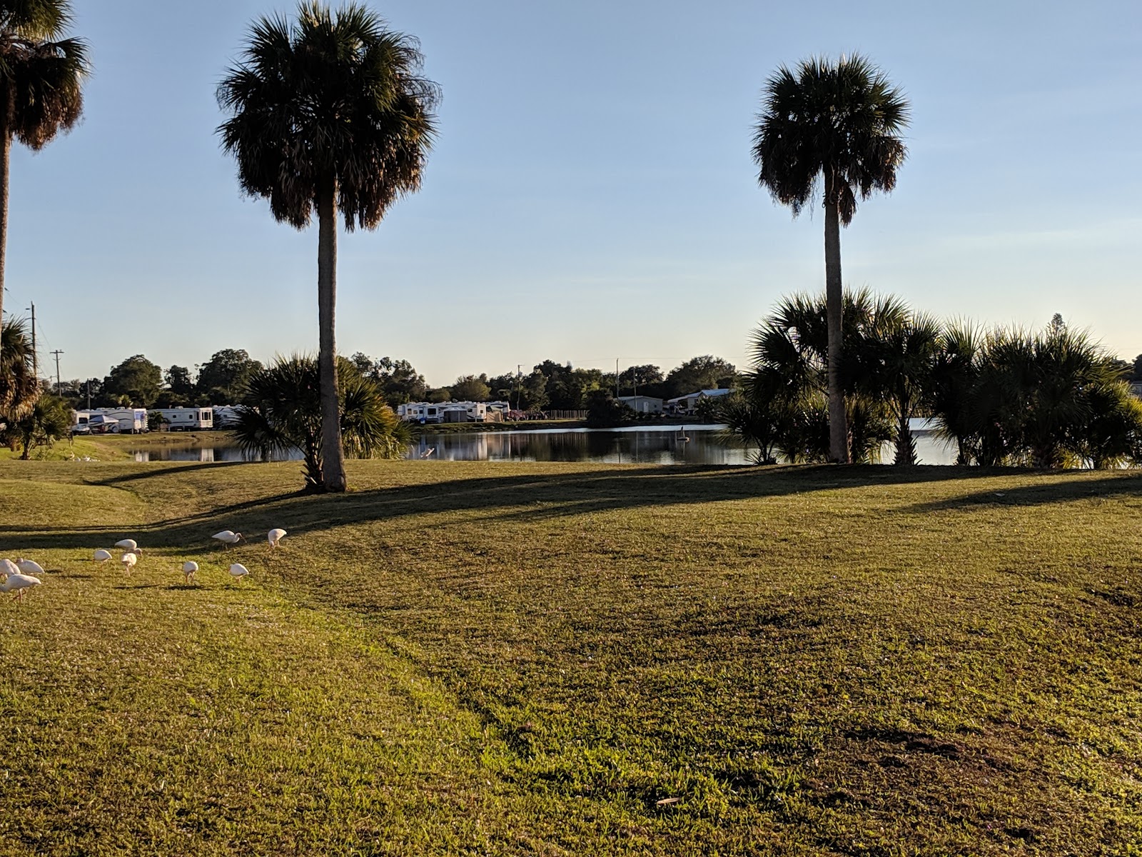 Okeechobee Landings RV Resort