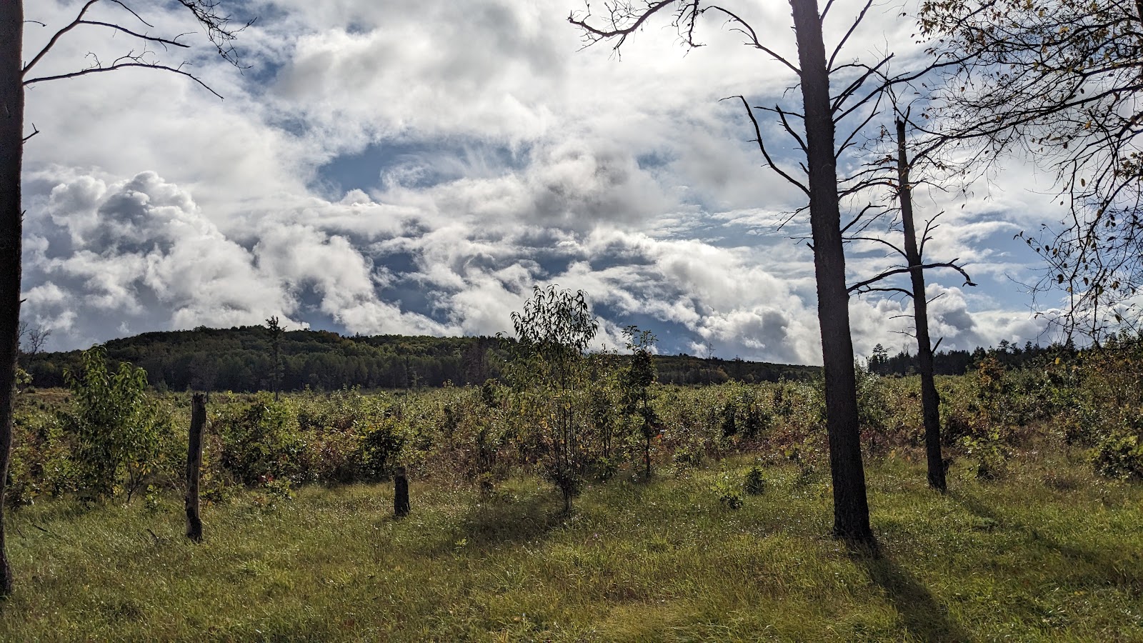 McKinley Horse Trail Campground