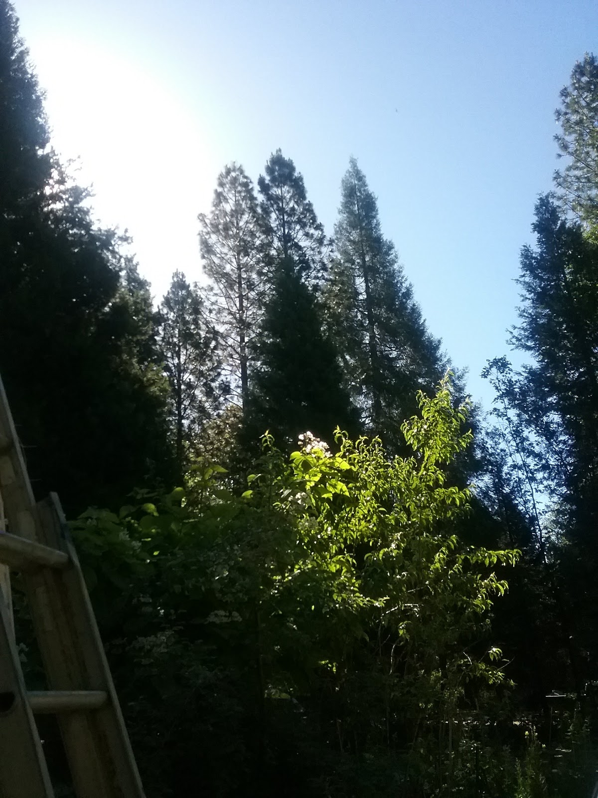 Camp Chiquita Campground