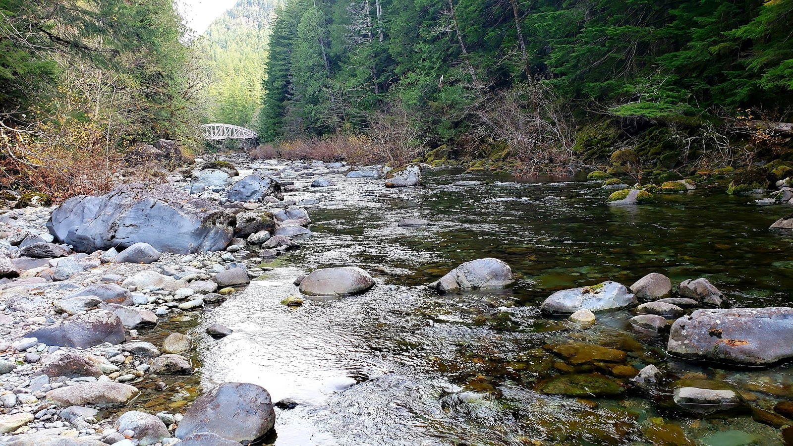 Shady Cove Campground
