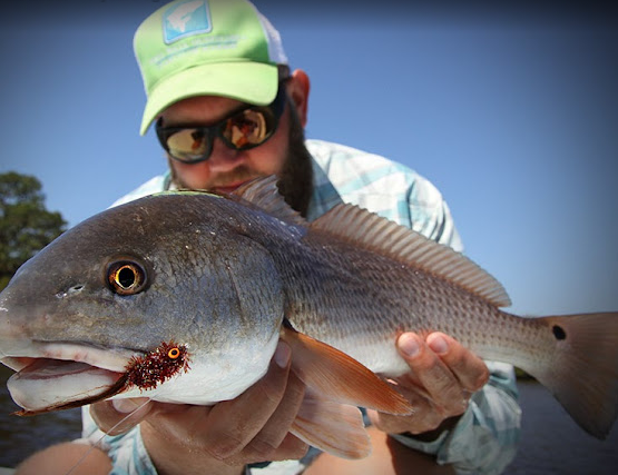 Myakka River Motorcoach Resort