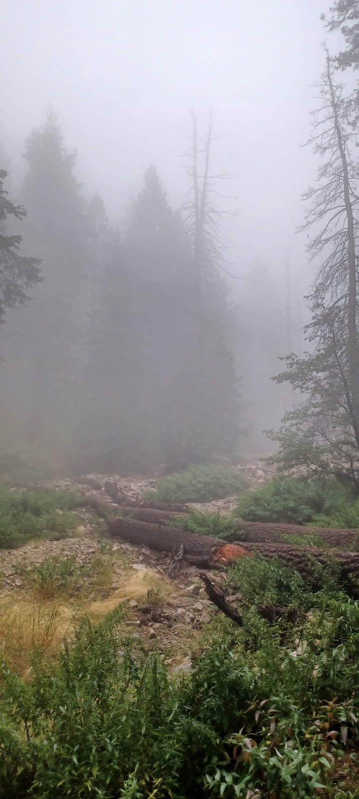 Hospital Flat Campground