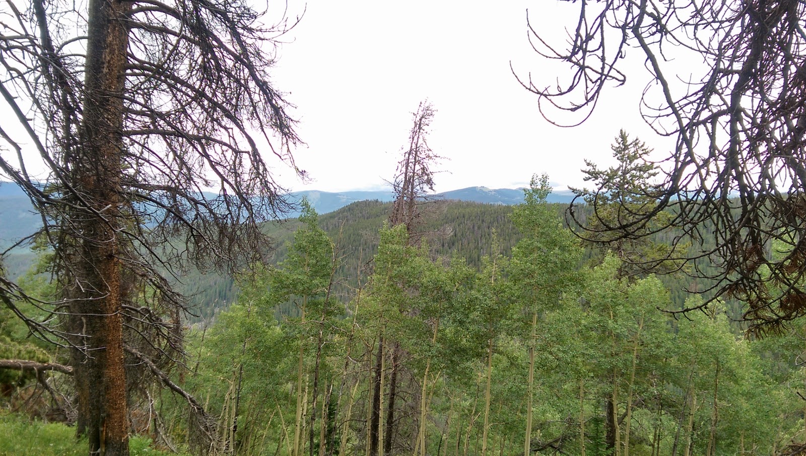 Camp Hale East Fork Group Campground