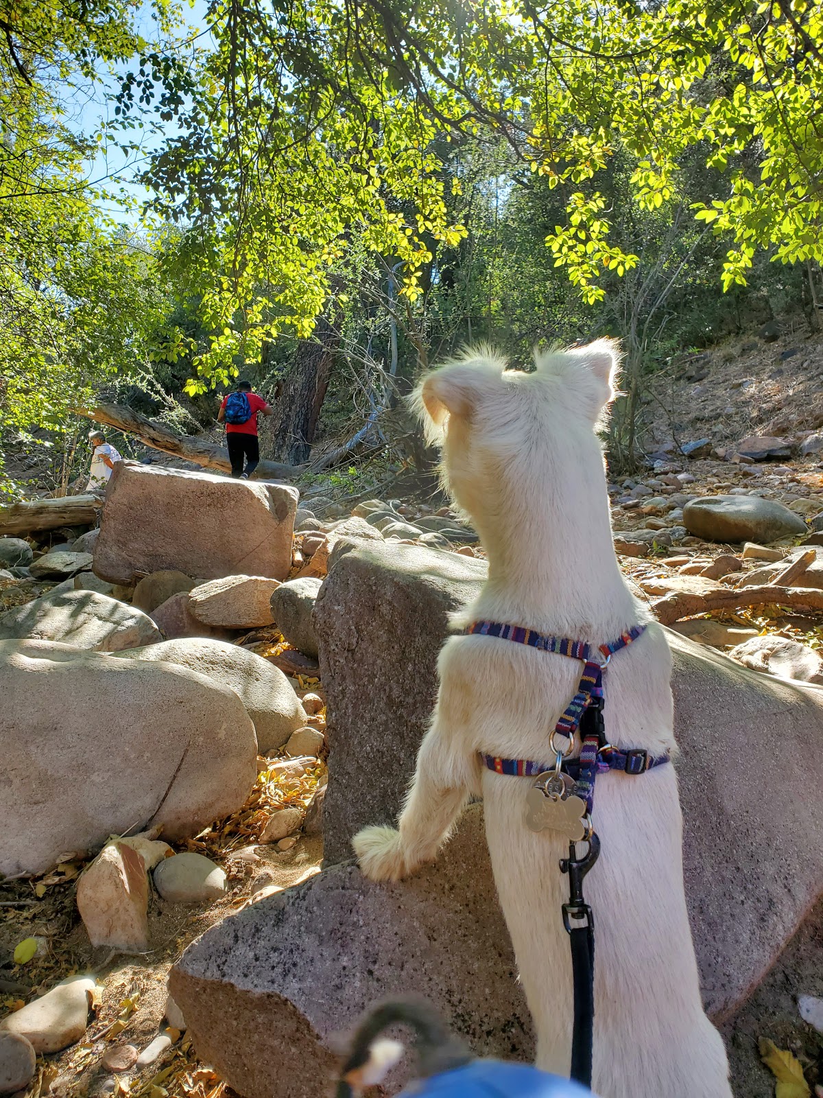 Haigler Canyon Campground