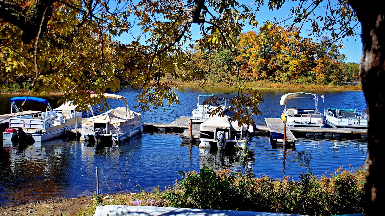 Little Grassy Lake Campground