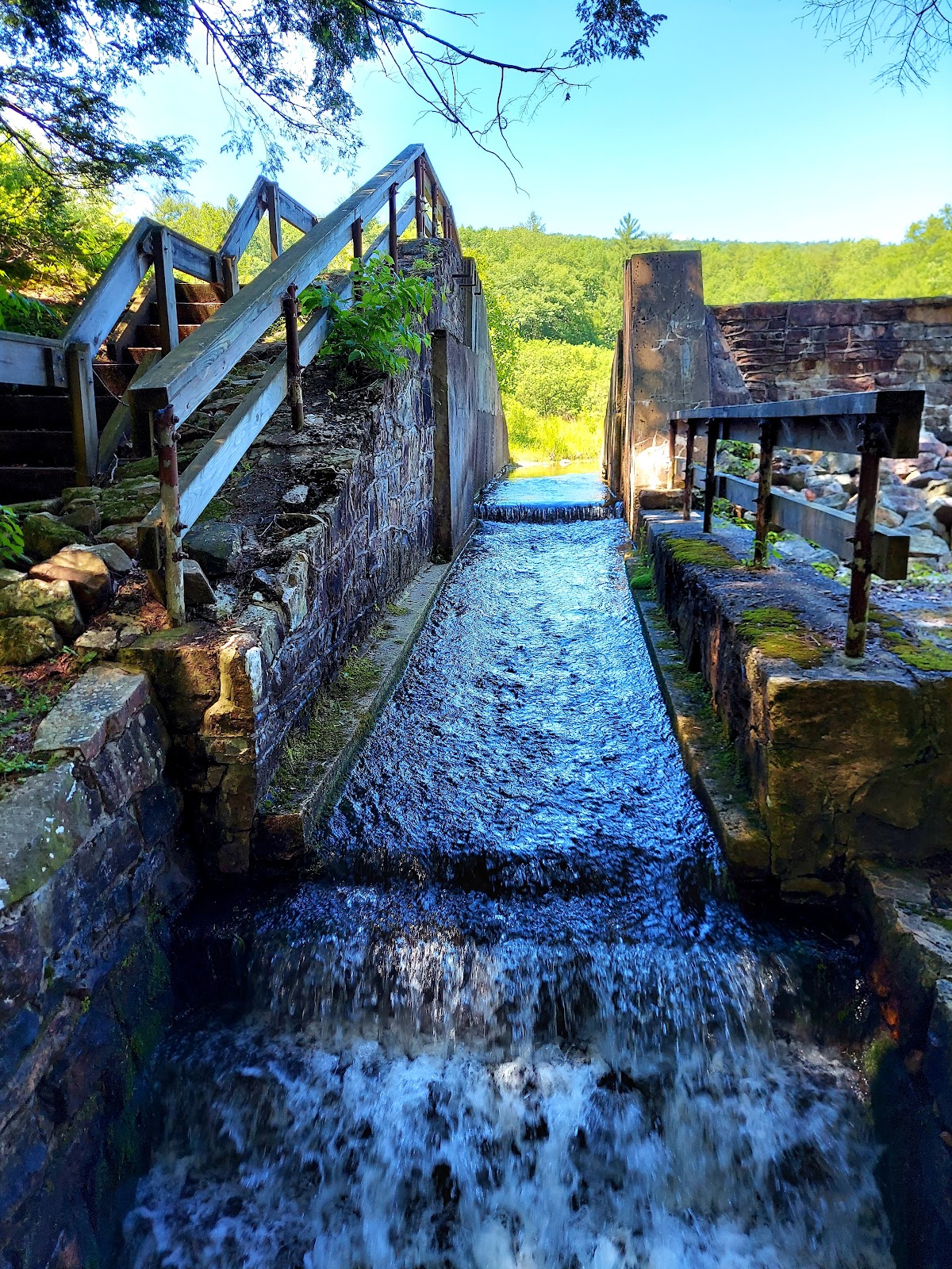 Penn-Roosevelt State Park