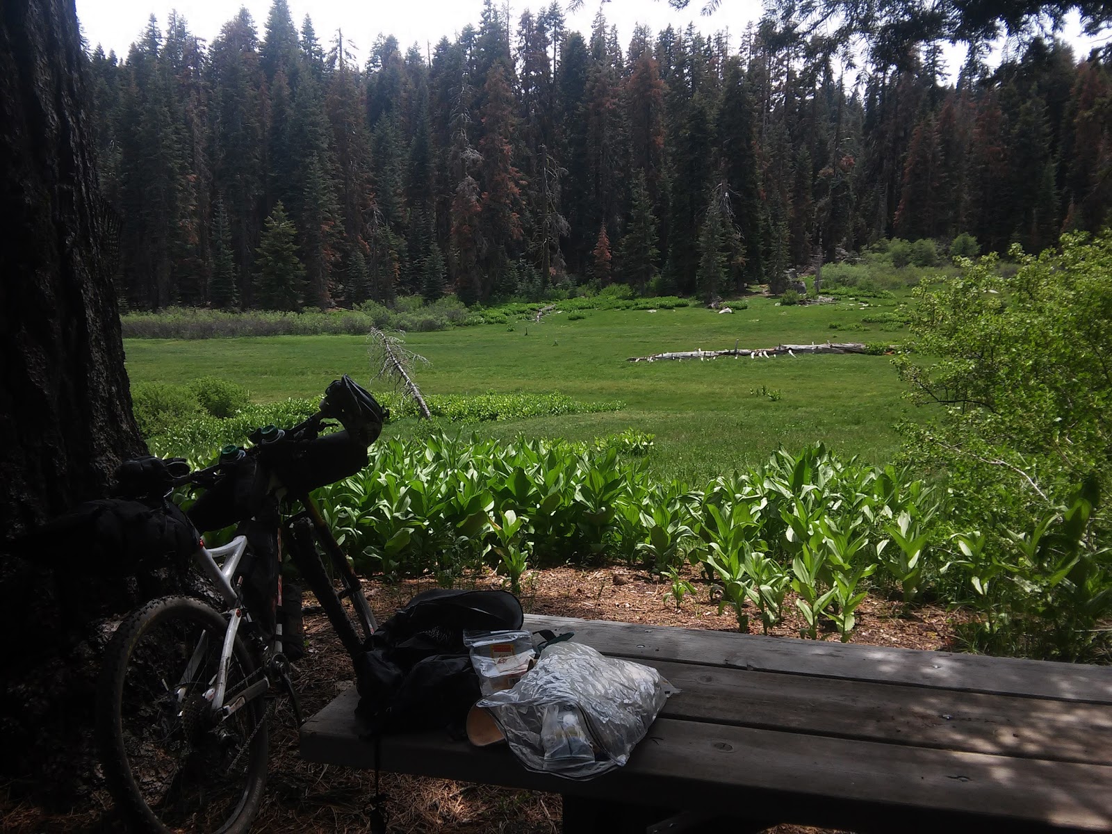 Frog Meadows Campground
