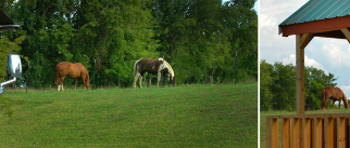 Fort Toulouse National Historic Site