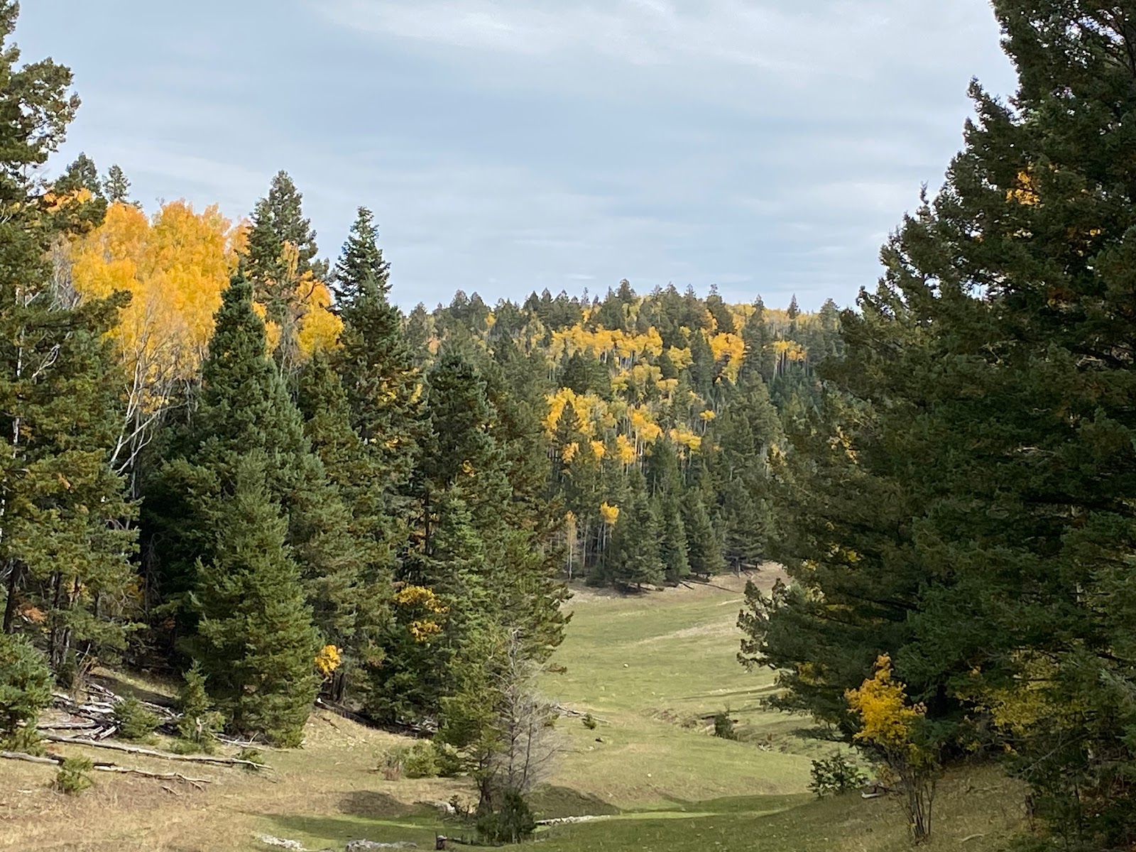 Upper Karr Campground