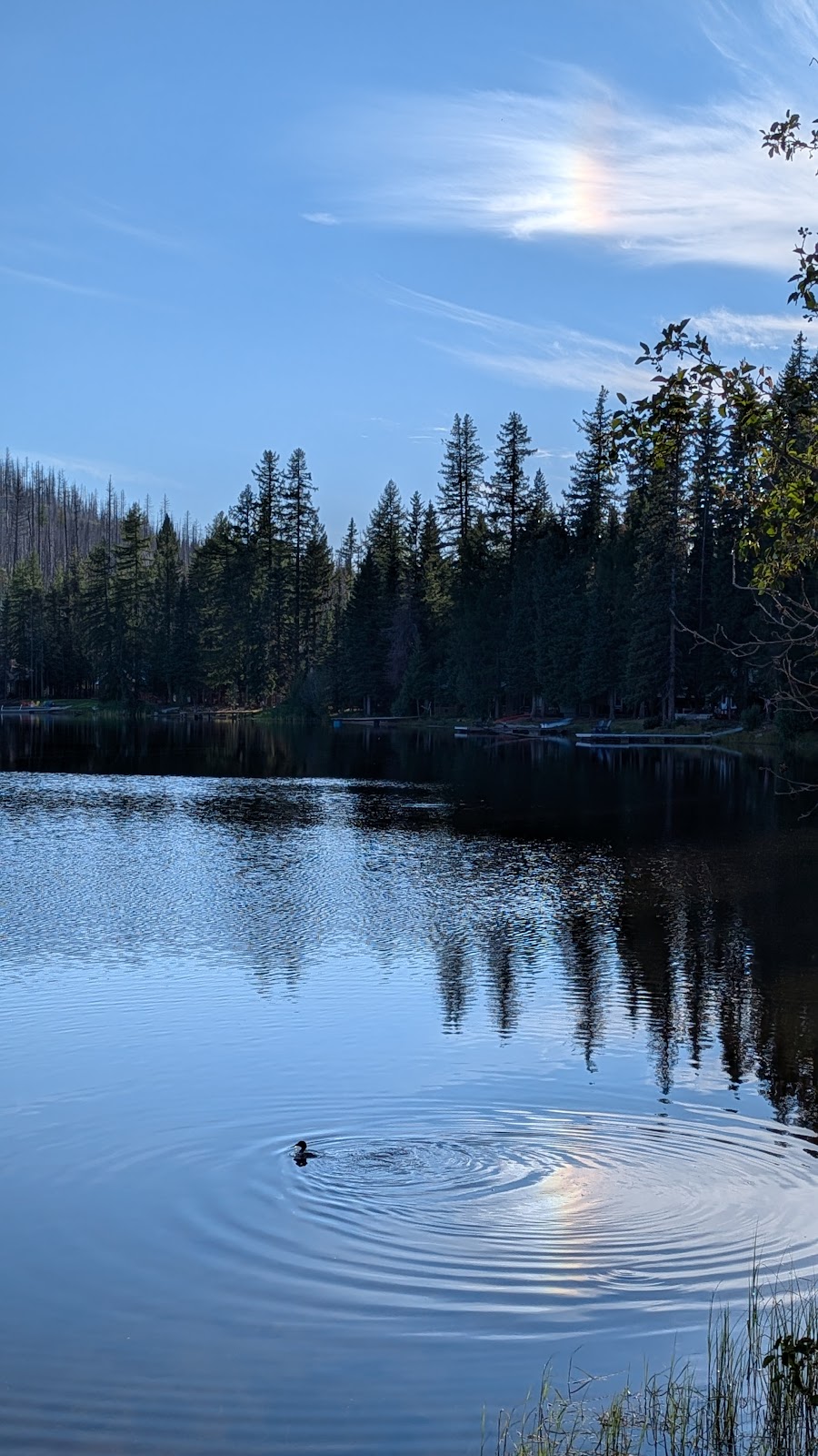 Crawfish Lake Campground