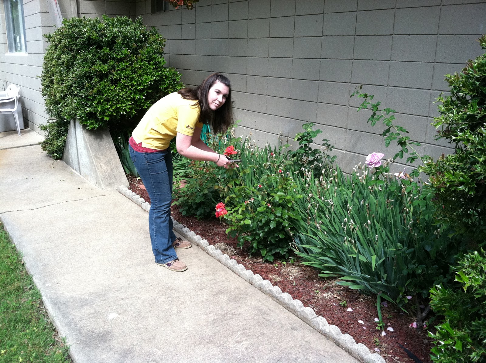 Little Rock North KOA