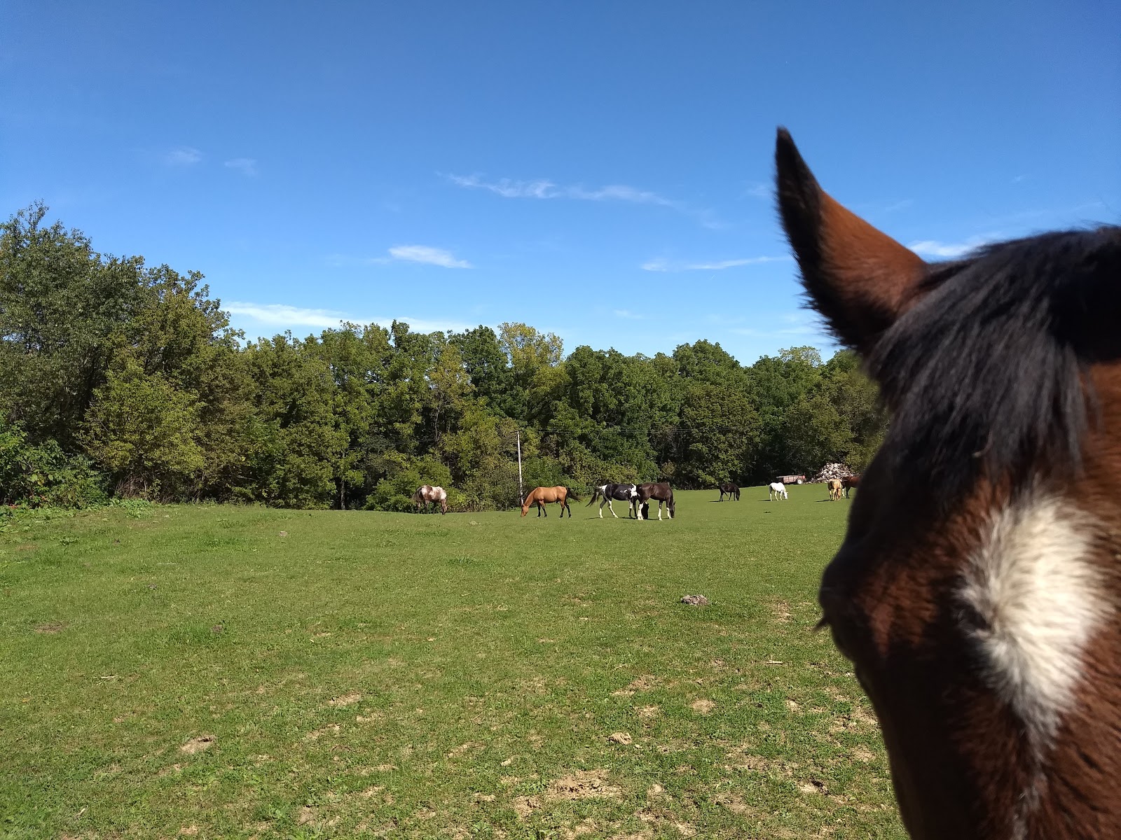 Hansen's Hide Away Ranch & Family Campground