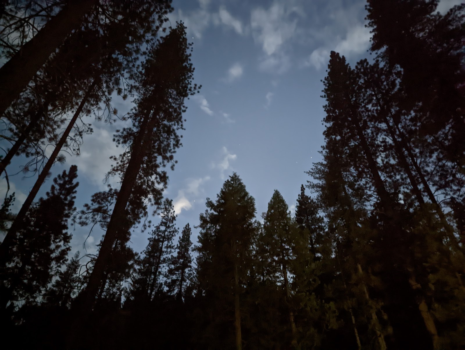 Logger Flat Group Campground