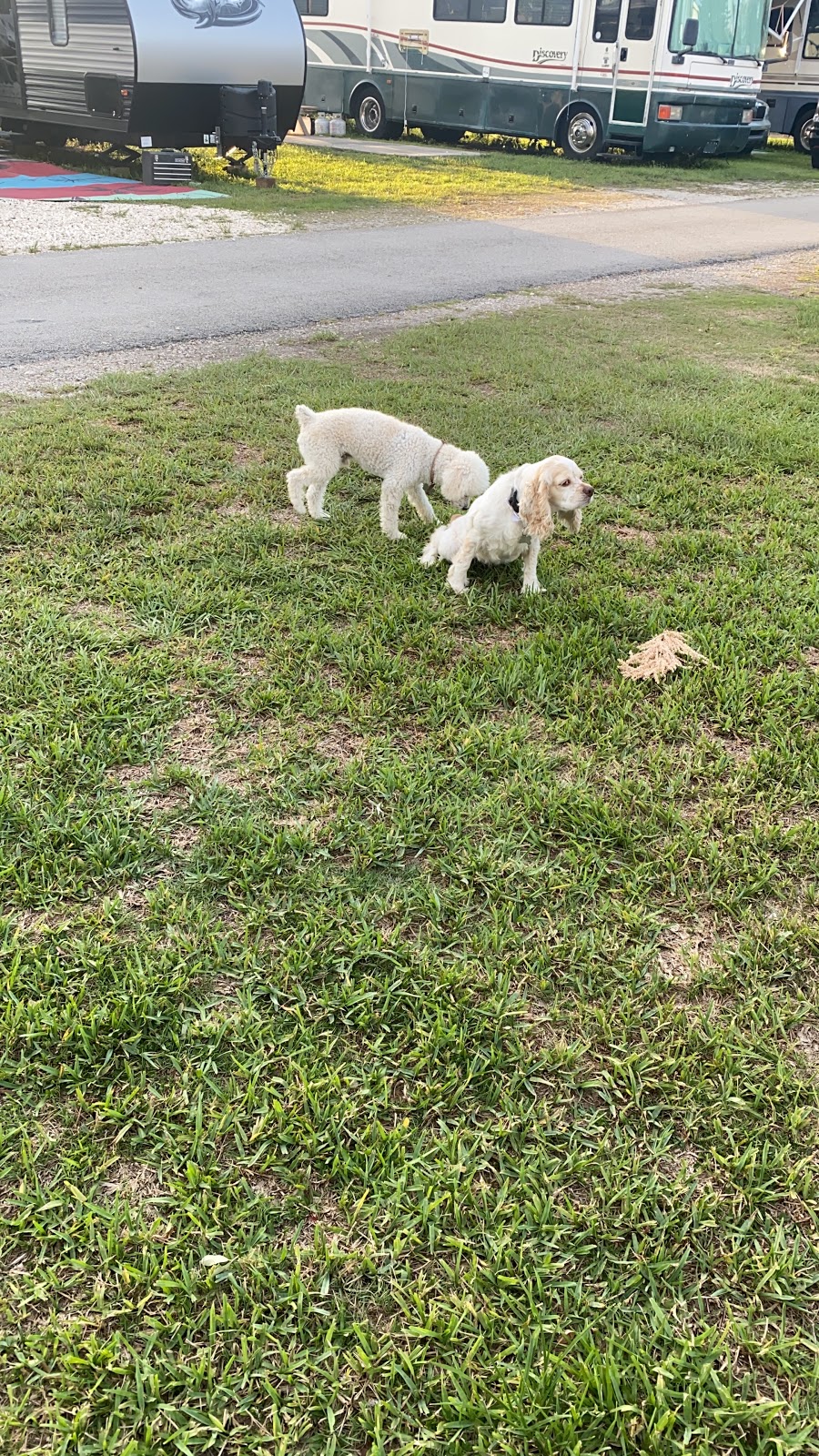 Southern Comfort RV Resort