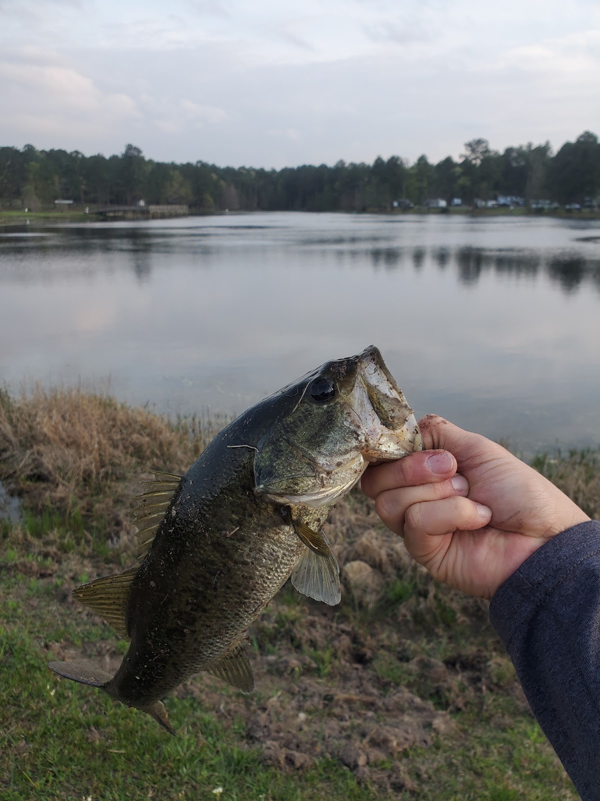 Alligator Lake RV Park