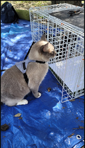 Green Valley Area Campground