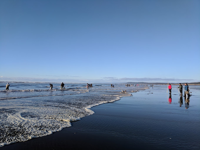 Ocean Mist RV Resort